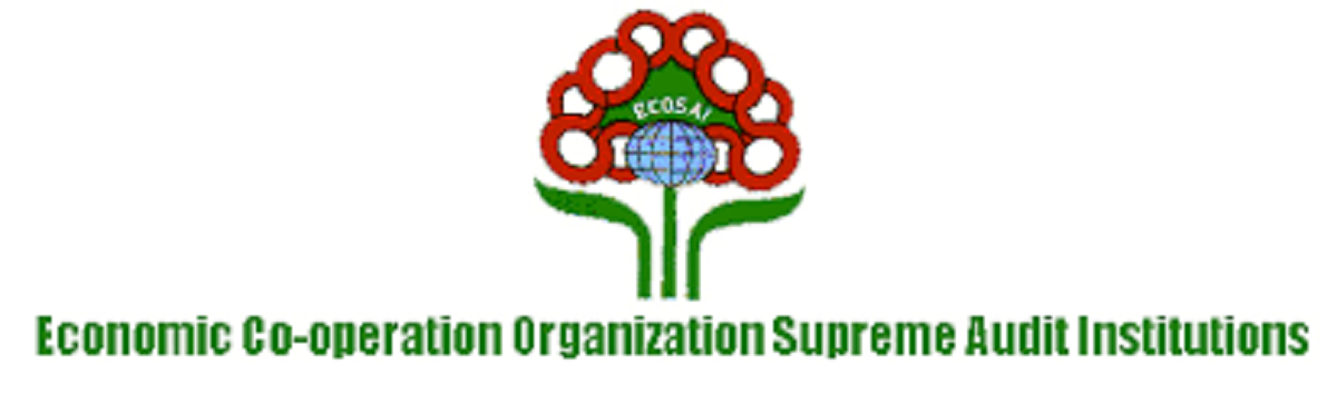 ایران رئیس سازمان اکوسای شد