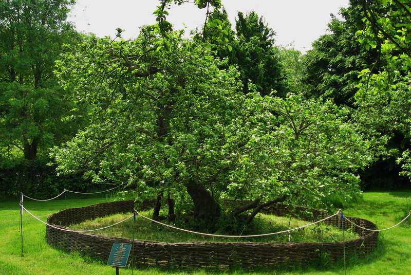 چگونه عبور اینشتین از فیزیک نیوتن به تولد مفهوم «سیاه‌چاله» منتهی شد؟