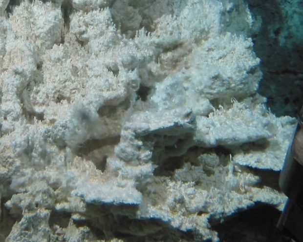 کشف یک شهر گمشده عجیب در قعر اقیانوس‌/ تا به امروز شبیه‌ آن را ندیده ایم