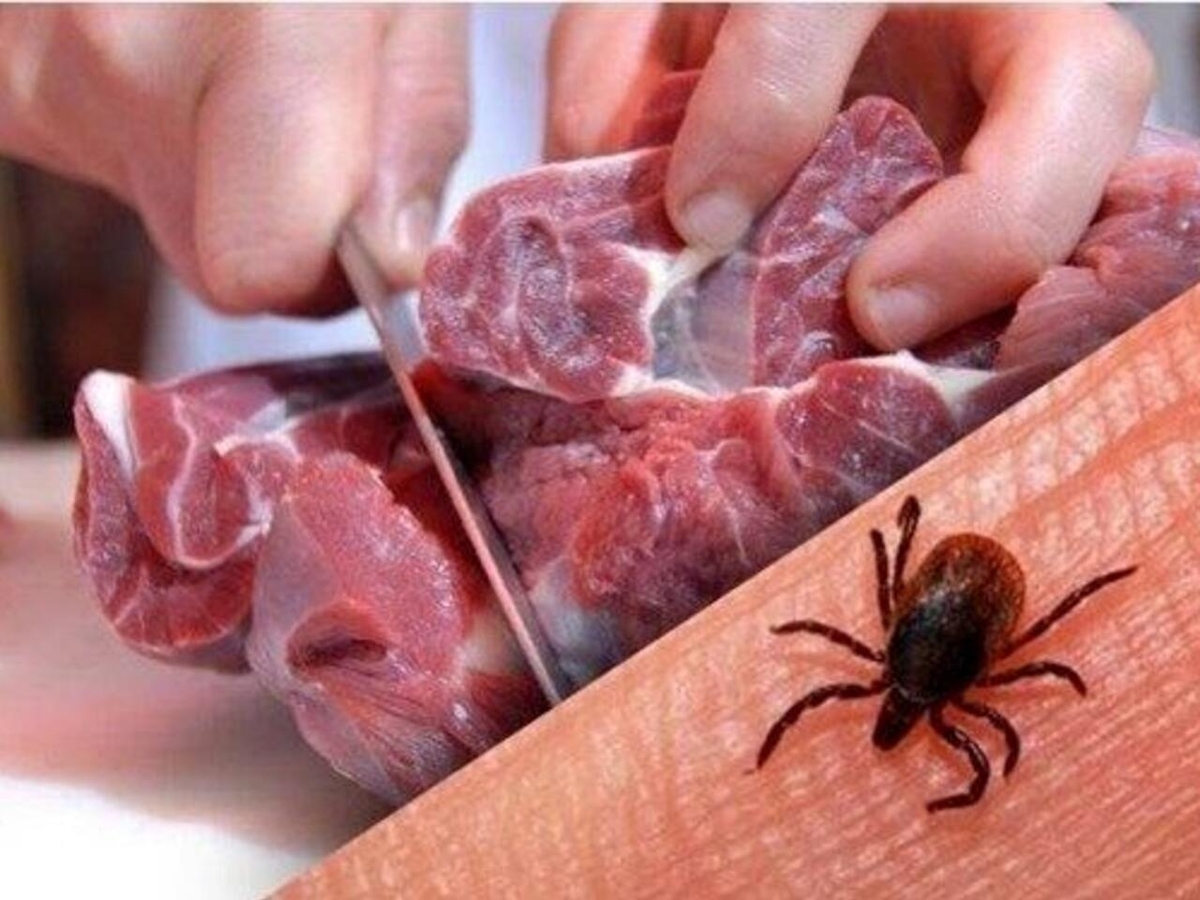 دانشکده علوم پزشکی: در زمان خرید گوشت حتما از دستکش استفاده کنید