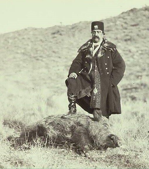 شیوع عجیب گرازخوری در برخی مناطق ایران/ شکارچی: رستوران‌ها از ما گوشت گراز می‌خرند