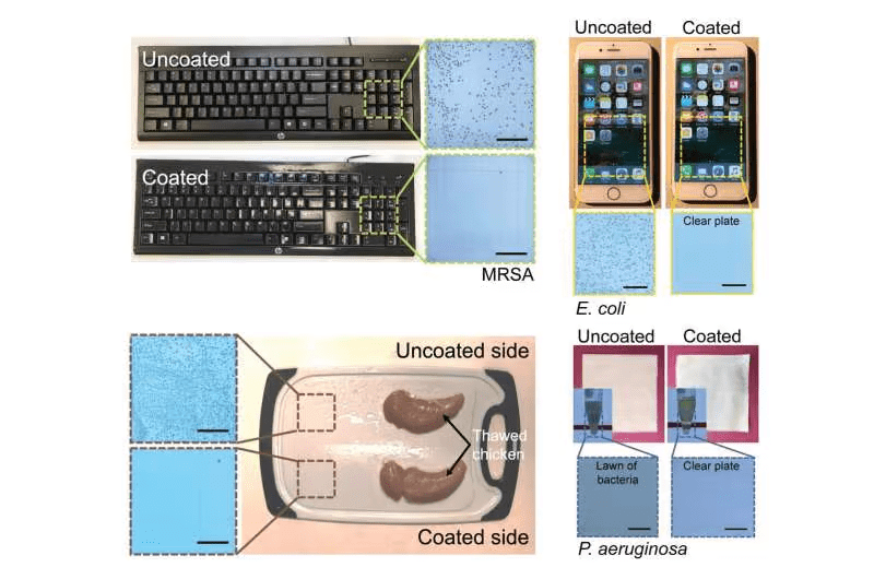 نابودی تمام ویروسها و باکتریها با روغن چای و دارچین! نابودی تمام ویروسها و باکتریها با روغن چای و دارچین!