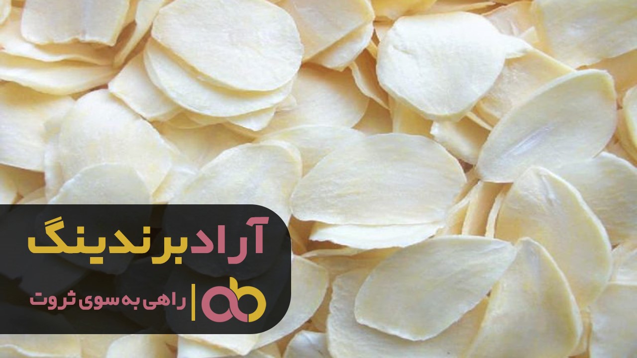 قیمت خرید موسیر خشک کوهی همدان قیمت خرید موسیر خشک کوهی همدان