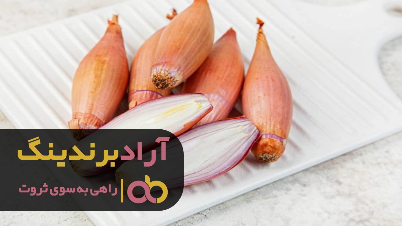 قیمت خرید موسیر خشک کوهی همدان قیمت خرید موسیر خشک کوهی همدان