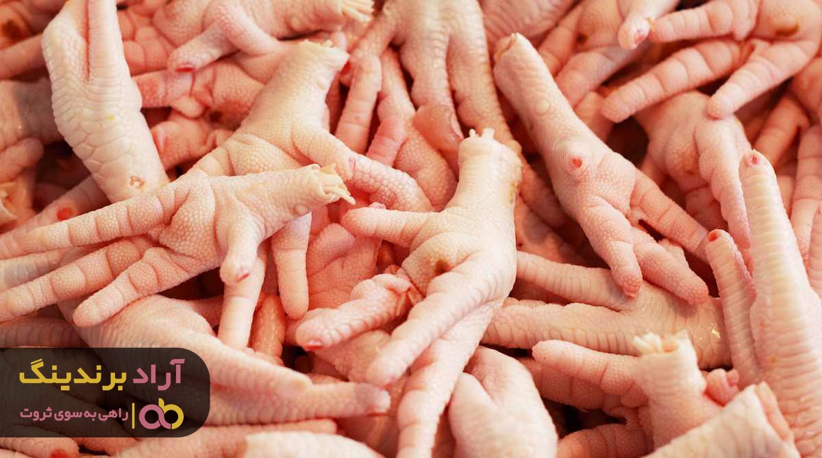 چرا پای مرغ فریز شده ماندگاری بیشتری دارد؟