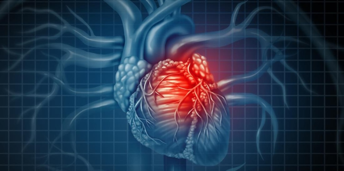 به راستی هورمون عشق قلب را احیا می‌کند؟