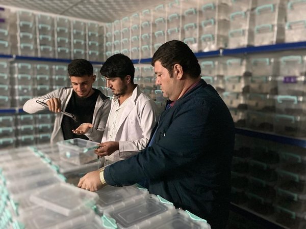 زهر عقرب، لیتری ۱۰ میلیون دلار زهر عقرب، لیتری ۱۰ میلیون دلار