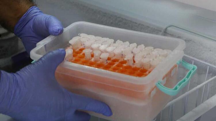 زهر عقرب، لیتری ۱۰ میلیون دلار زهر عقرب، لیتری ۱۰ میلیون دلار