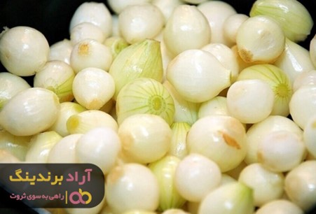 فواید پیاز سفید صادراتی برای تقویت ریشه مو