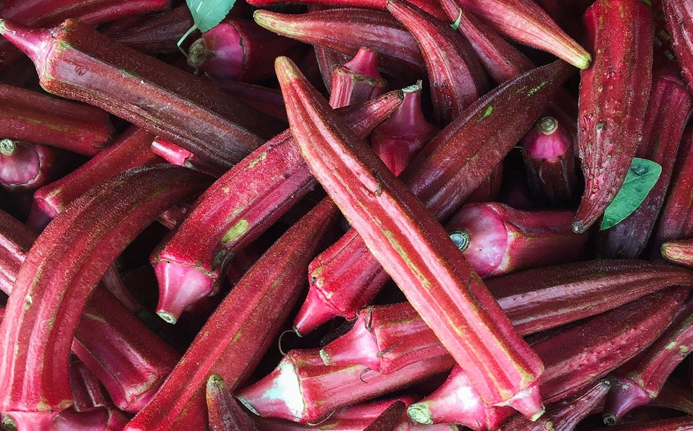 همراه با مزایای سلامتی گیاه شگفت انگیز بامیه