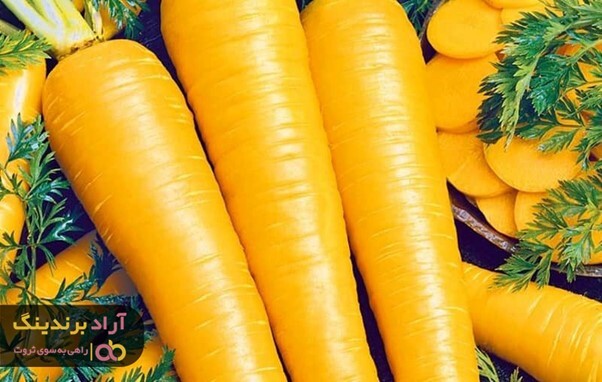 نوسان قیمت هویج زرد در سال های اخیر نوسان قیمت هویج زرد در سال های اخیر