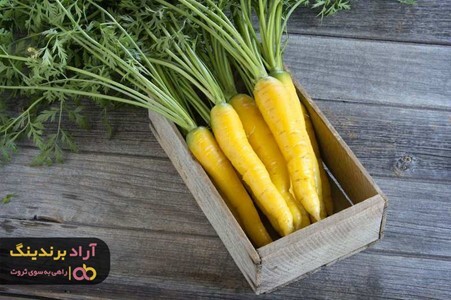 نوسان قیمت هویج زرد در سال های اخیر نوسان قیمت هویج زرد در سال های اخیر