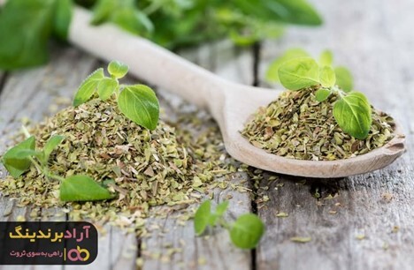 قیمت سبزی خشک خوب را از کجا استعلام بگیریم؟ قیمت سبزی خشک خوب را از کجا استعلام بگیریم؟