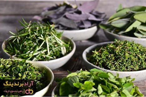 قیمت سبزی خشک خوب را از کجا استعلام بگیریم؟ قیمت سبزی خشک خوب را از کجا استعلام بگیریم؟