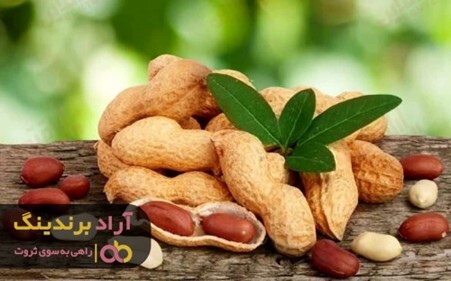 خواص بادام زمینی ریز برای تقویت ایمنی بدن