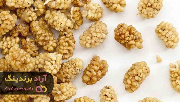 خواص توت خشک هرات برای سیستم ایمنی بدن انسان