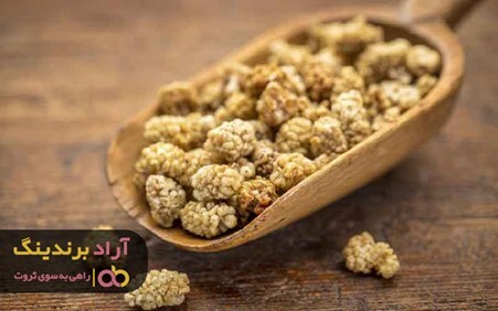 خواص توت خشک هرات برای سیستم ایمنی بدن انسان