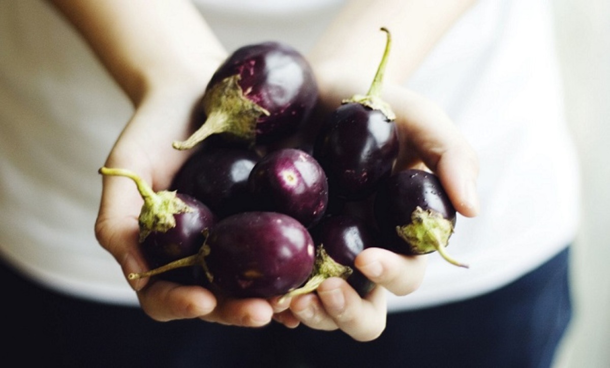 چگونه بادمجان خام را فریز کنیم؟!