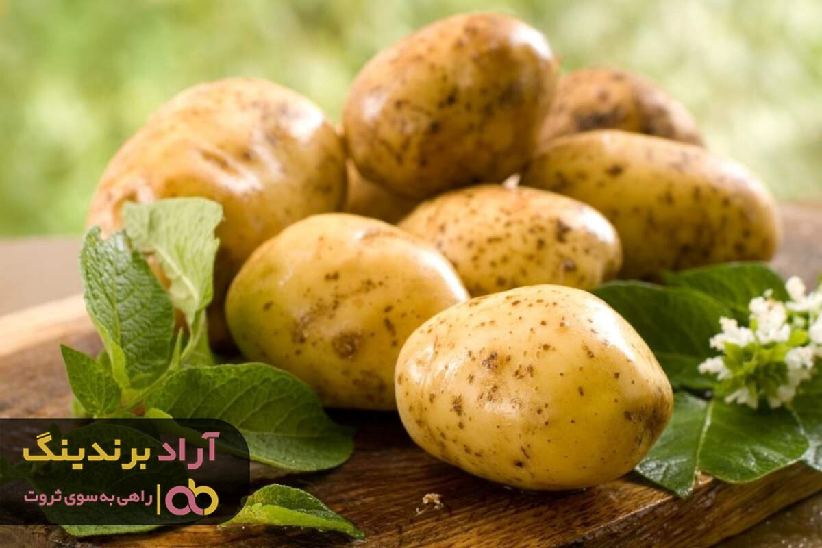 قیمت سیب زمینی شیرین و خواص درمانی آن قیمت سیب زمینی شیرین و خواص درمانی آن