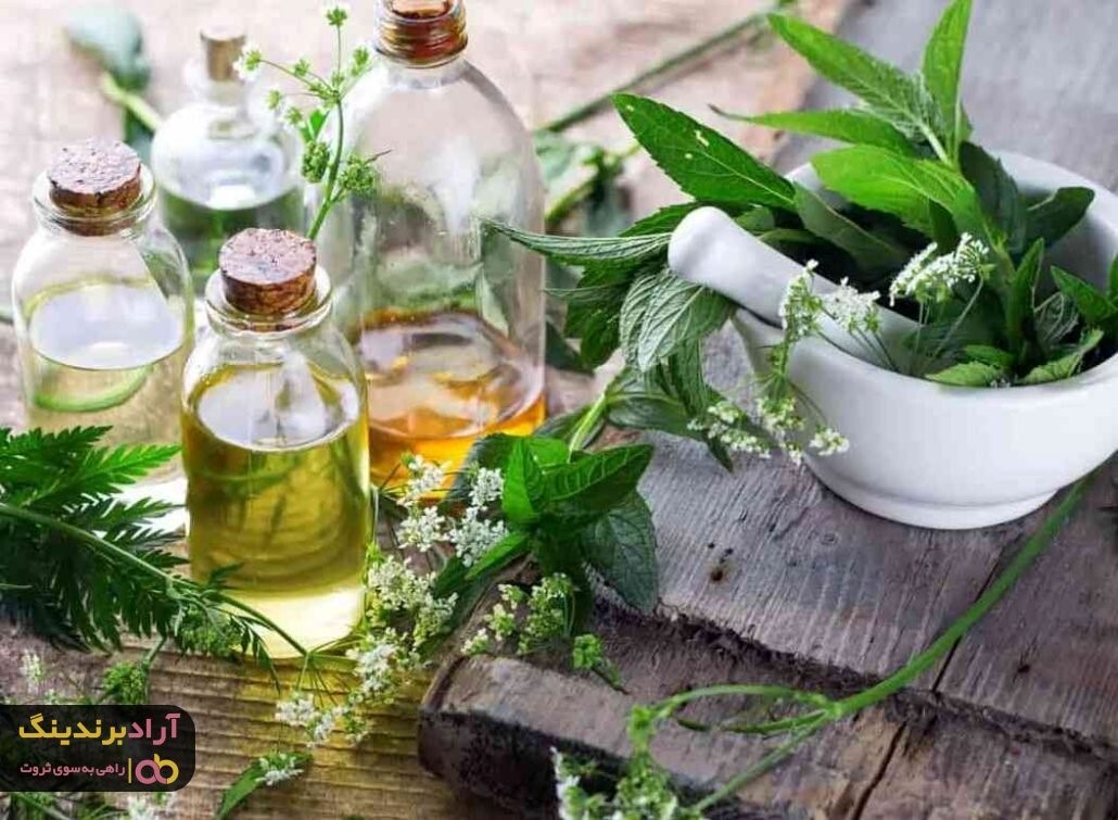 عرق یونجه برای کبد و پاکسازی آن بسیار مفید است عرق یونجه برای کبد و پاکسازی آن بسیار مفید است