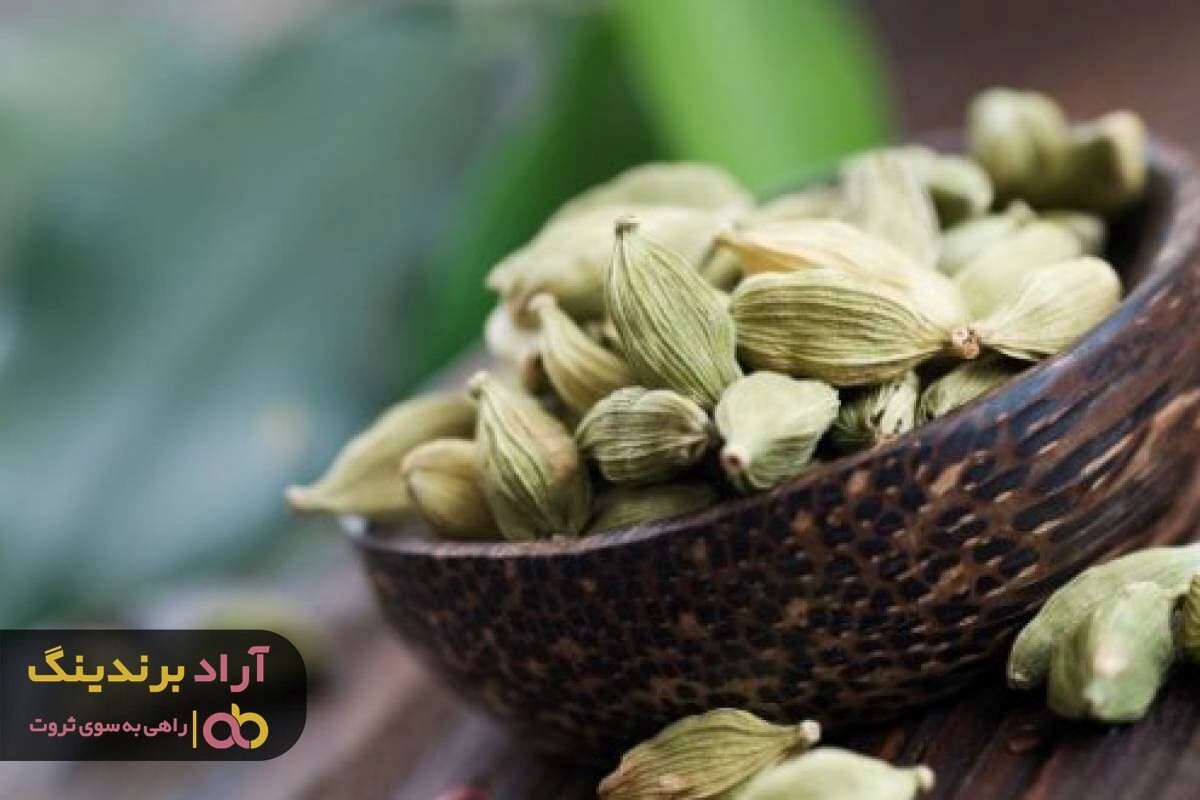 قیمت هل سبز اکبر و مزایای آن برای سلامتی قیمت هل سبز اکبر و مزایای آن برای سلامتی