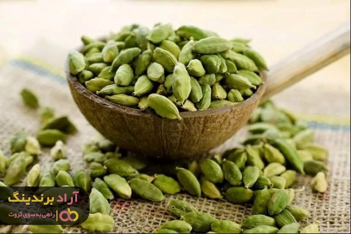 قیمت هل سبز اکبر و مزایای آن برای سلامتی قیمت هل سبز اکبر و مزایای آن برای سلامتی