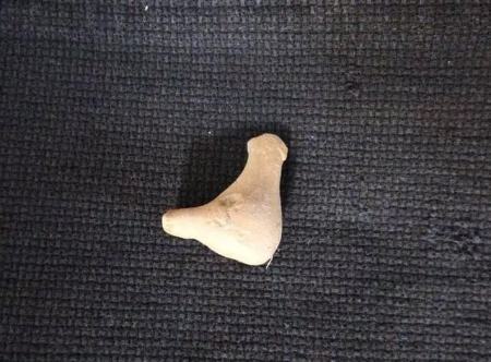 ۲۰۰۰ سال پیش هم سوت میساختند ۲۰۰۰ سال پیش هم سوت میساختند