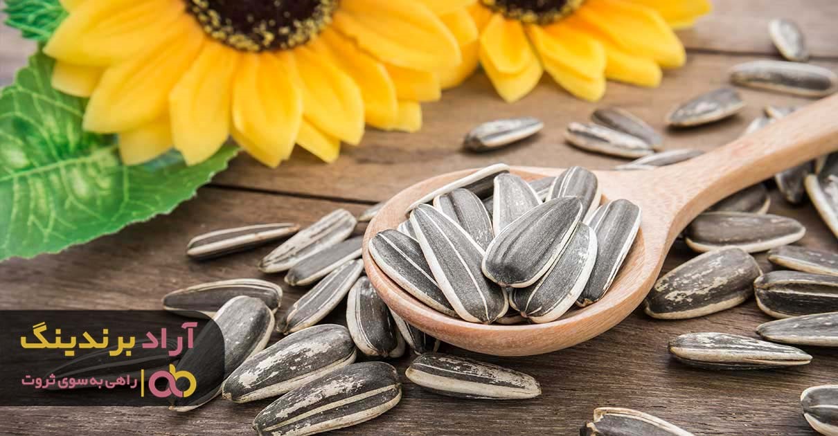 فواید تخمه آفتابگردان چینی برای پوست و مو فواید تخمه آفتابگردان چینی برای پوست و مو