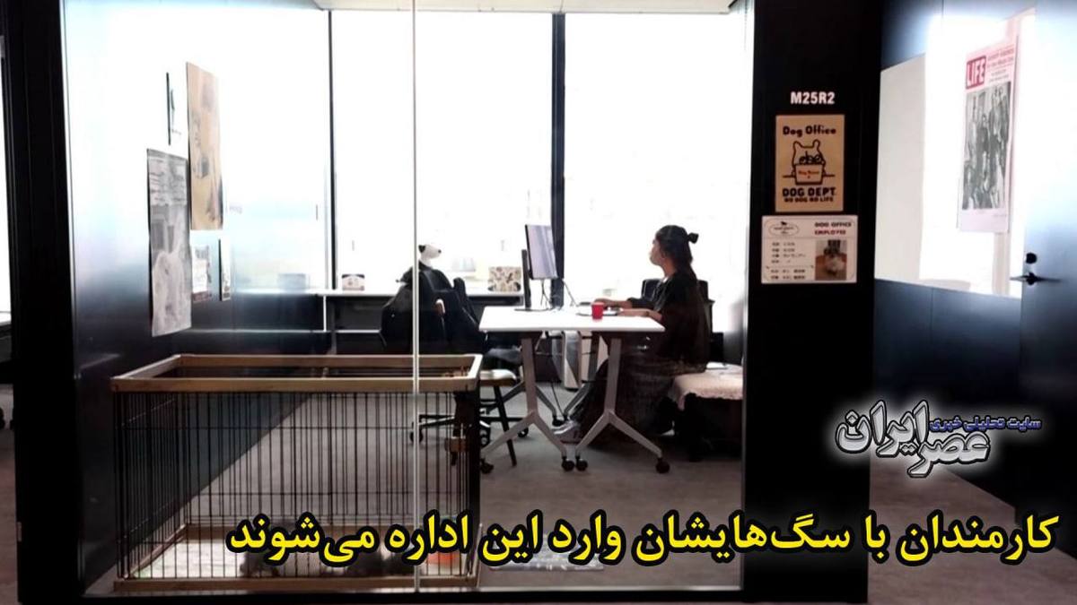 ببینید| برای اولین بار در جهان؛ یک اداره در ژاپن به کارمندانش اجازه داده با حیوانات خانگی‌شان به محل کار بیایند