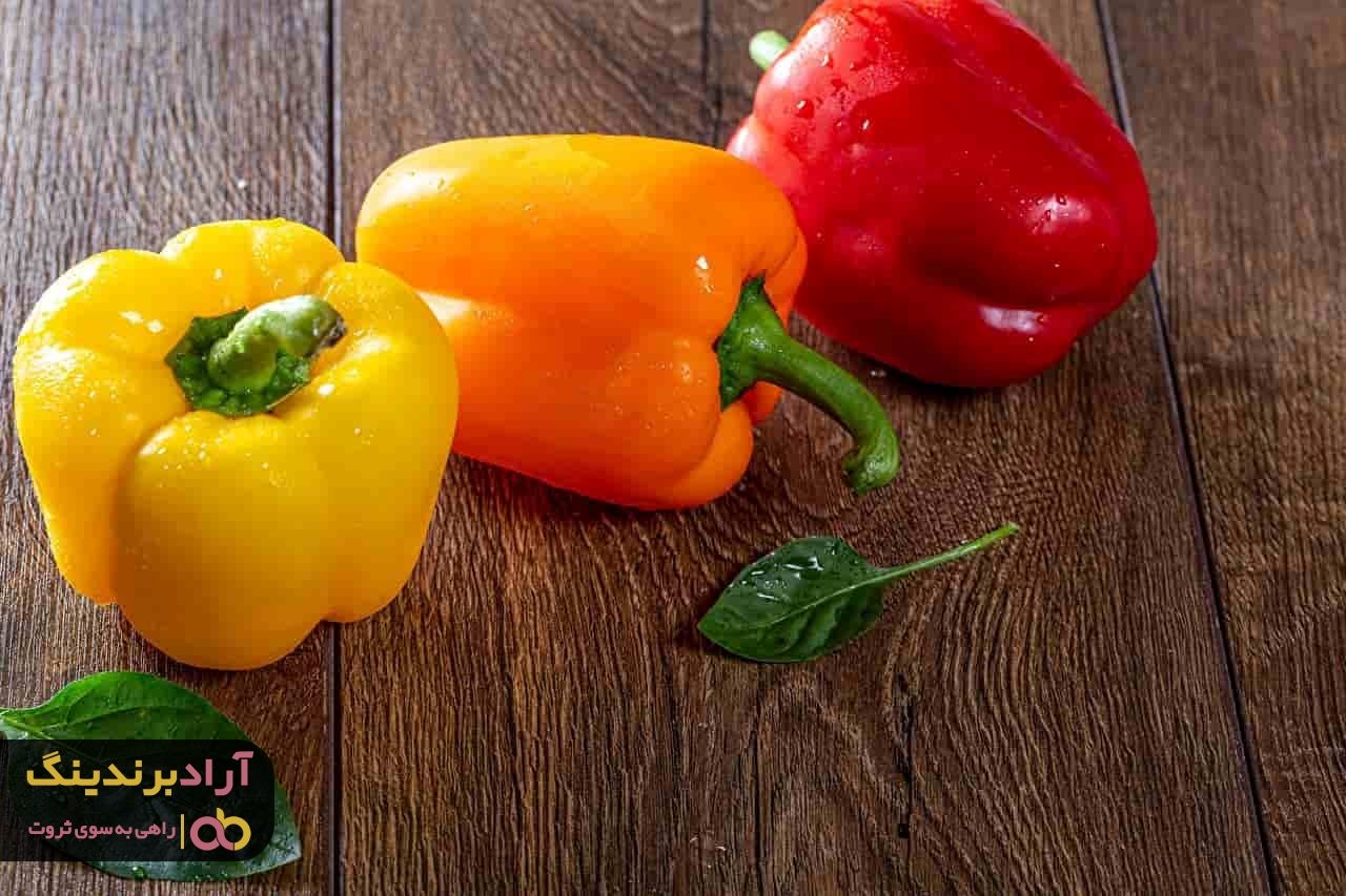 فلفل دلمه ای یزد و صادرات این محصول به کشورهای مختلف فلفل دلمه ای یزد و صادرات این محصول به کشورهای مختلف