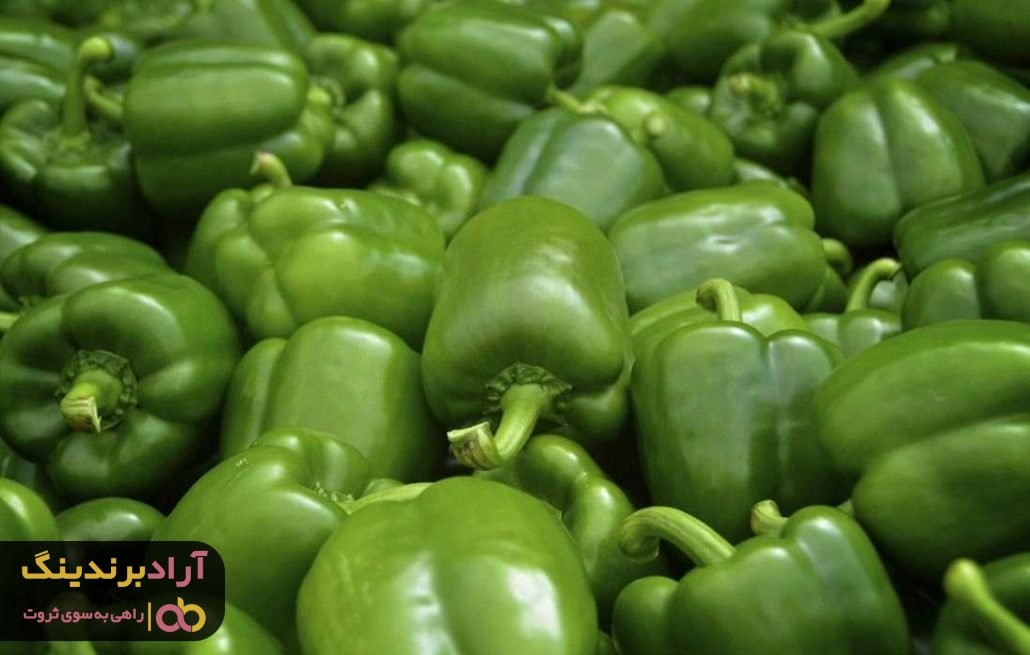 فلفل دلمه ای یزد و صادرات این محصول به کشورهای مختلف فلفل دلمه ای یزد و صادرات این محصول به کشورهای مختلف