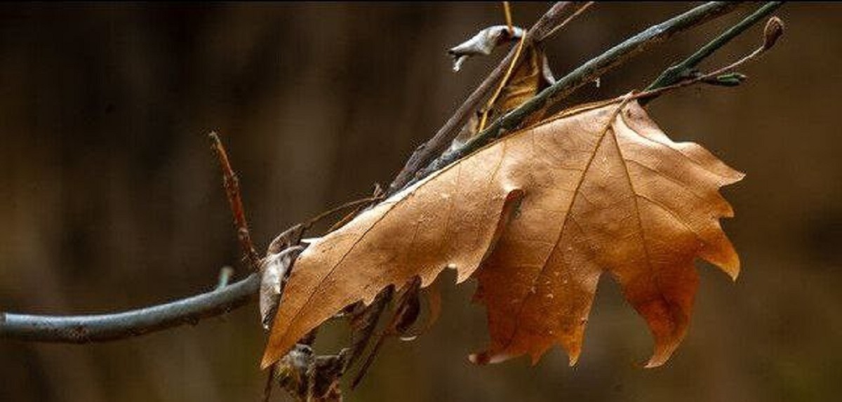 هواشناسی اصفهان: کم بارشی‌ها در پاییز ۱۴۰۱ به طور محسوس ادامه دارد