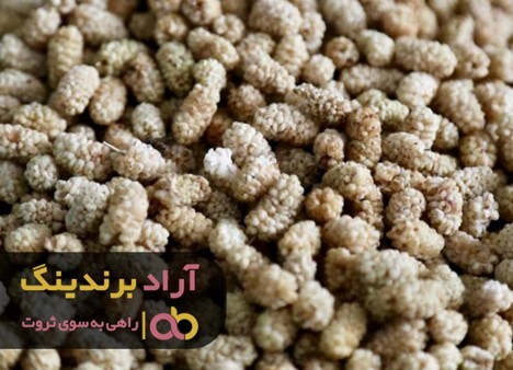 توت خشک خانگی خواص بیشتری دارد توت خشک خانگی خواص بیشتری دارد