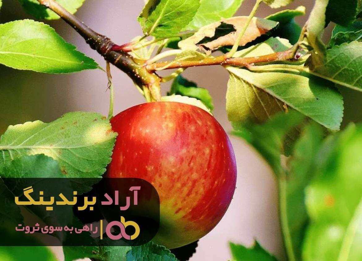 عسل چهل گیاه اورازان جایگزین بوتاکس شد