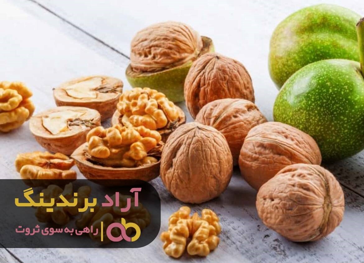 فروش گردو پوست کاغذی با اسقبال زیادی مواجه شد