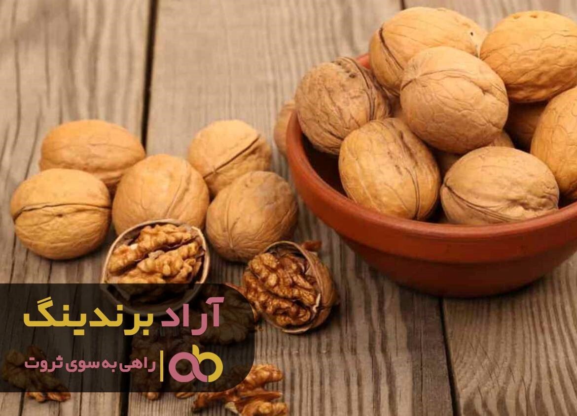 پخش گردو تویسرکان به سراسر ایران از سر گرفته شد پخش گردو تویسرکان به سراسر ایران از سر گرفته شد