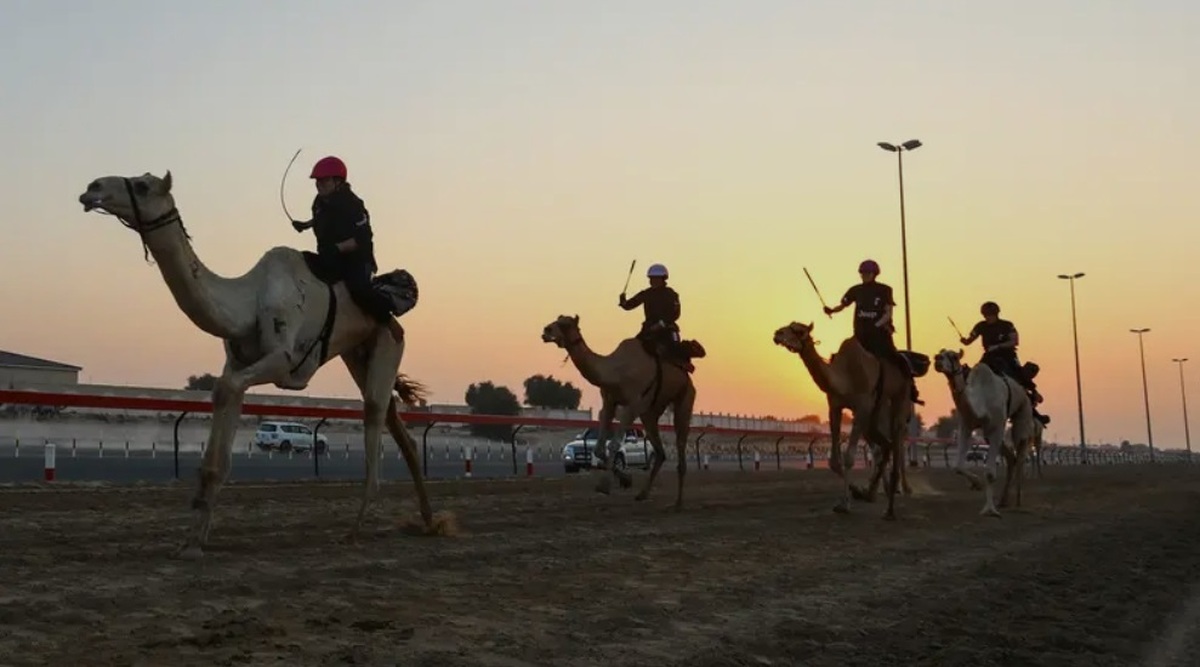 ببینید| مسابقات قهرمانی شترسواری در امارات/ حضور زنان در سرگرمی سنتیِ مردانه