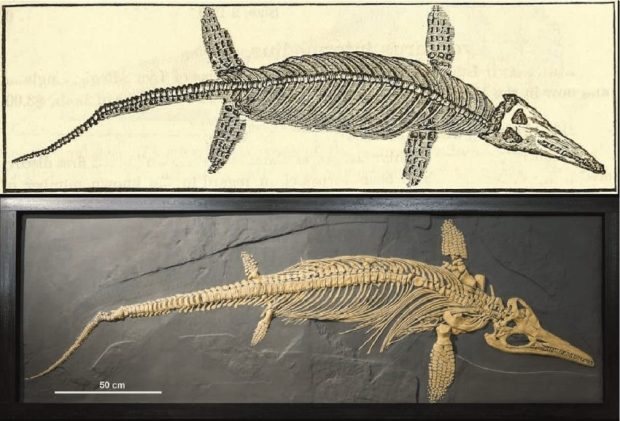 هیتلر با ارزش‌ترین گنج دریایی جهان را نابود کرد