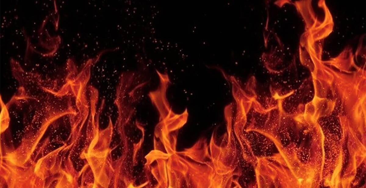 امروز با مجذوب تبریزی : یک شب آتش در نیستانی فتاد
