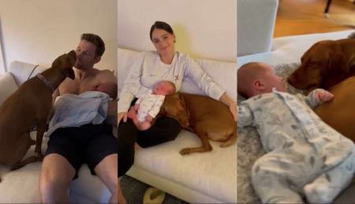 واکنش جالب سگ خانواده به دیدن نوزاد ۳روزه (+عکس)