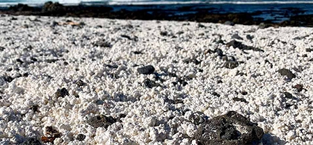 ساحل پاپ کورن اسپانیا؛ غیرمعمول ترین ساحل روی زمین (+عکس) ساحل پاپ کورن اسپانیا؛ غیرمعمول ترین ساحل روی زمین (+عکس)