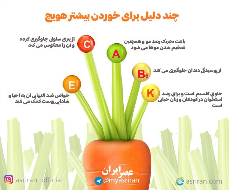 چند دلیل برای خوردن بیشتر هویج (اینفوگرافیک)