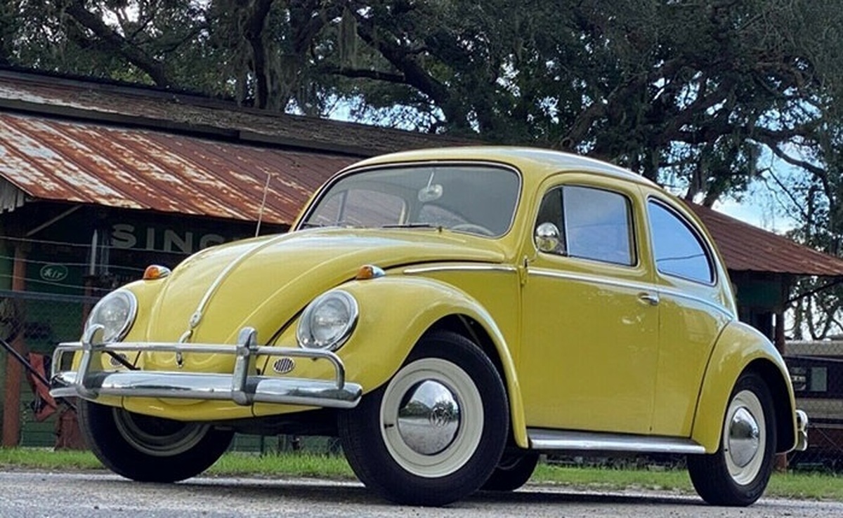 عجیب‌ترین آکواریوم تاریخ؛ ماهی‌ها پشت فرمان فولکس! (فیلم)