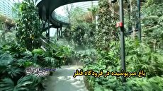 گلاب آدینه: 28 سال انتظار اجرای نمایش "پرده‌خانه" را داشتم 6