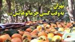 تهران به طعم گسی خرمالوهایش/ چه بر سر میوه محبوب تهران می‌آید؟ (فیلم)