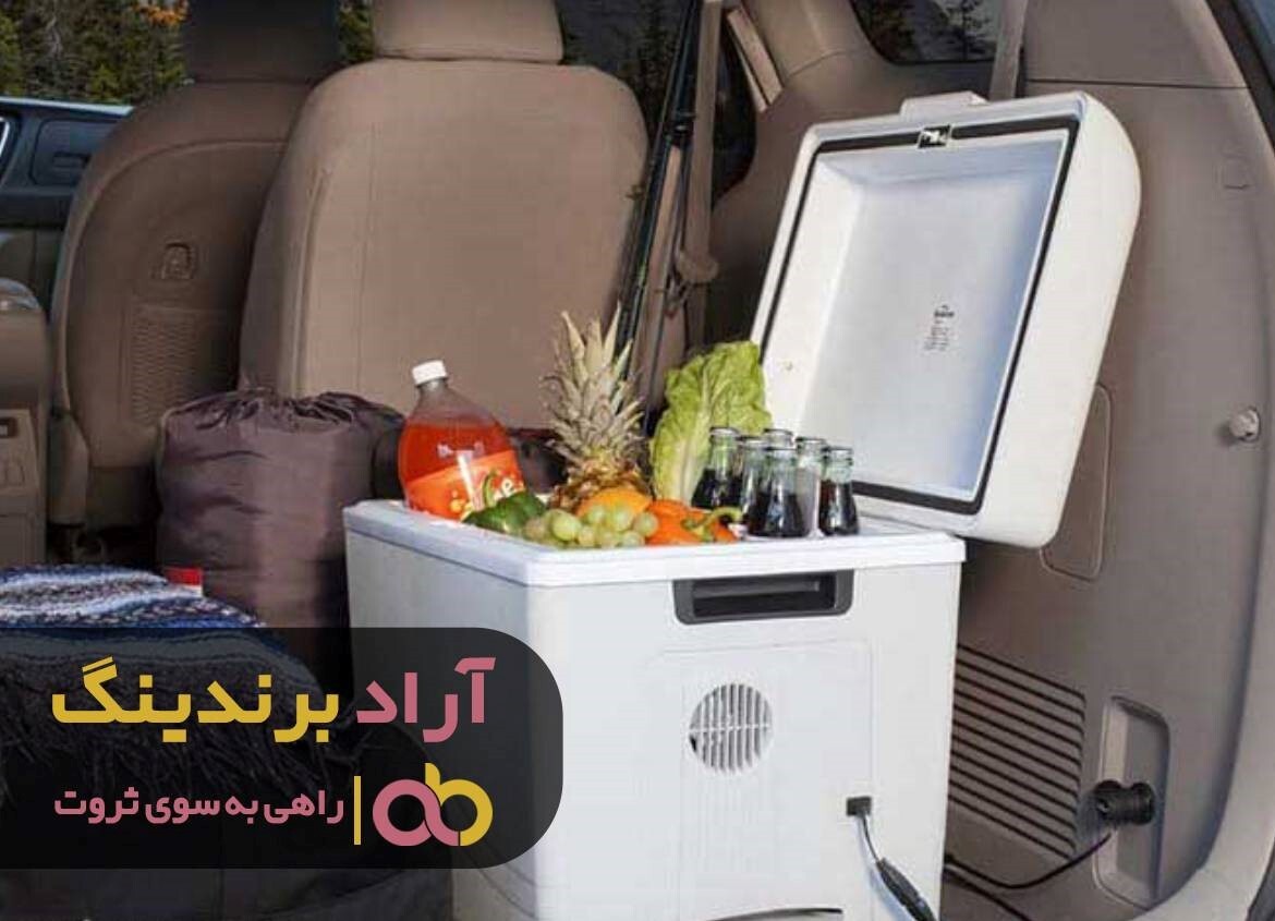 خرید یخچال برای ماشین ضروری است