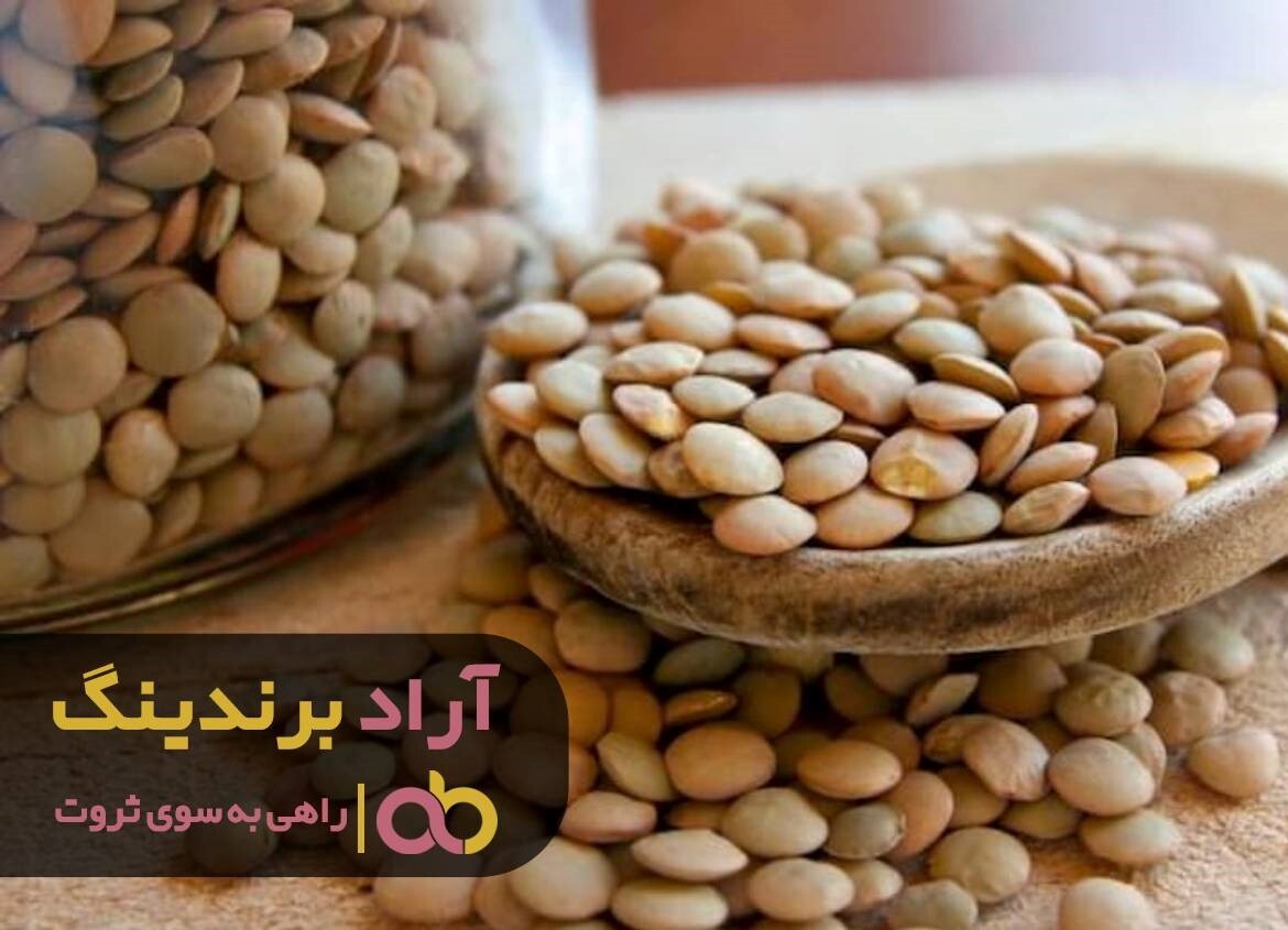 مصرف عدس برای سنگ کلیه لازم است