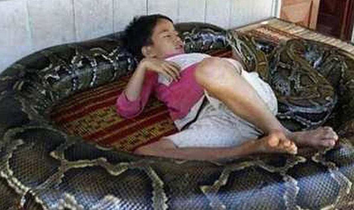 همزیستی عجیب پسربچه با مارغول پیکر پیتون (فیلم)