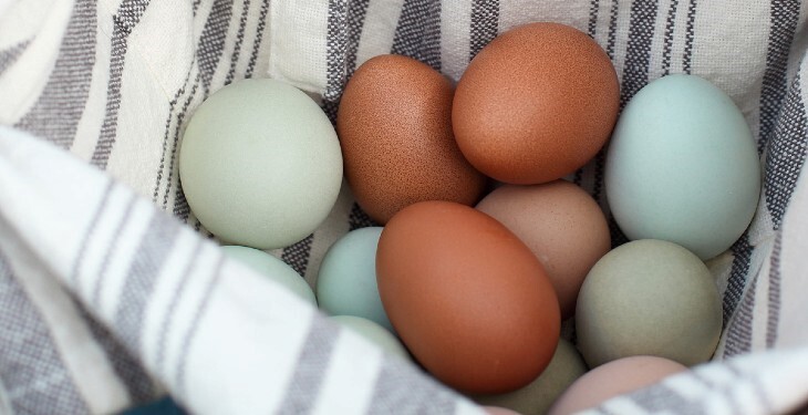 بهترین رژیم غذایی که به رشد موها کمک خواهد کرد بهترین رژیم غذایی که به رشد موها کمک خواهد کرد