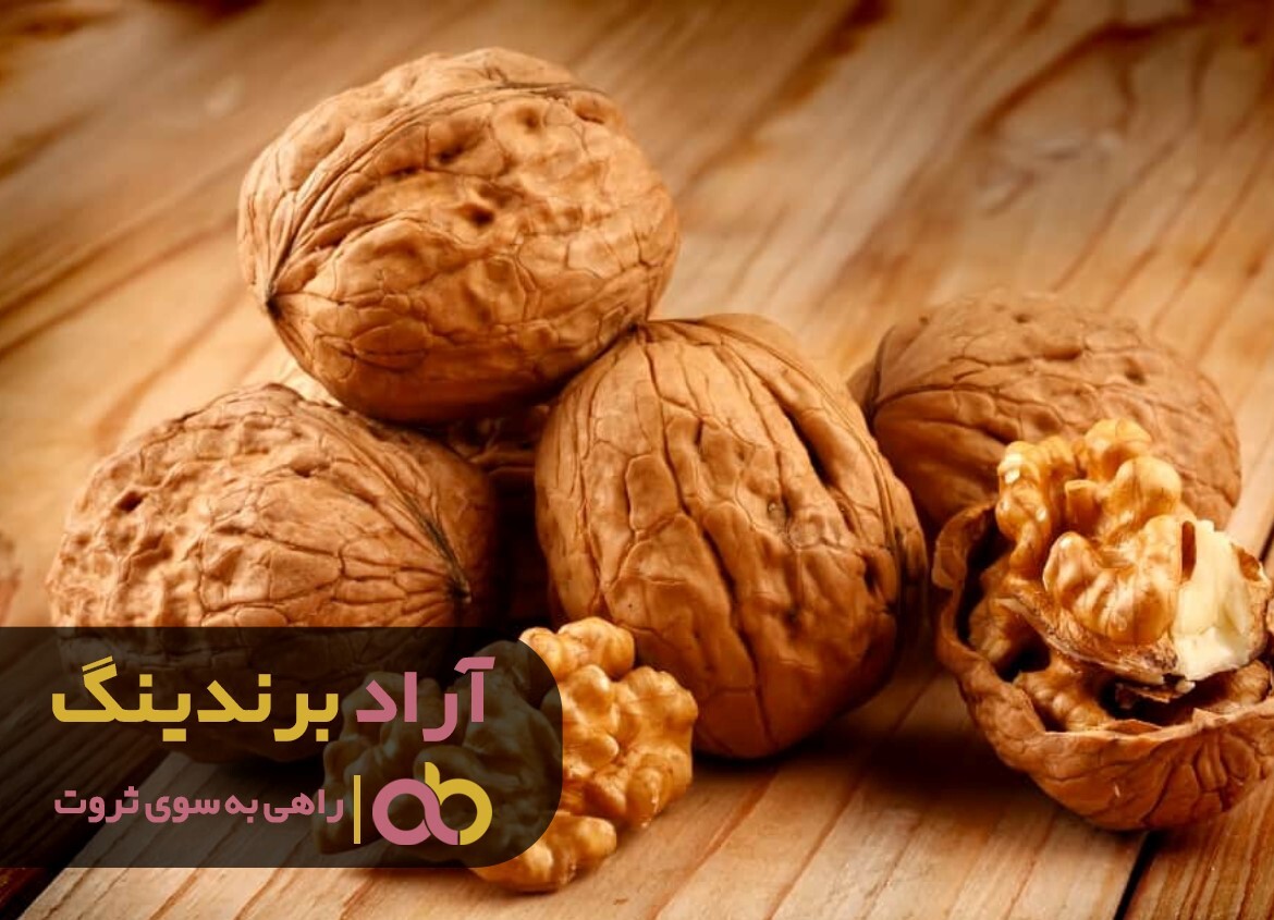 خرید گردو تویسرکان با پوست به صرفه است خرید گردو تویسرکان با پوست به صرفه است